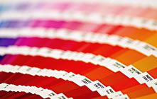 ADAW Pantone